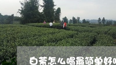 白茶怎么喝最简单好喝/2023063096046