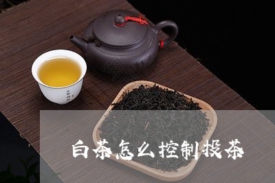 白茶怎么控制投茶/2023080145836