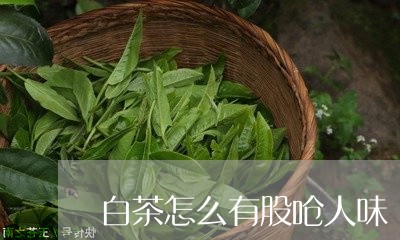 白茶怎么有股呛人味/2023072326361