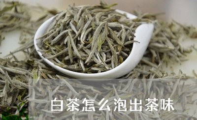 白茶怎么泡出茶味/2023080196946