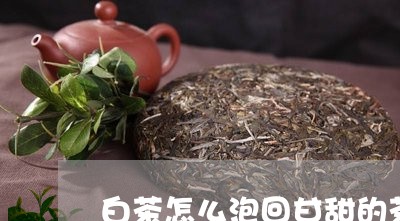 白茶怎么泡回甘甜的茶/2023100524948