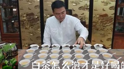 白茶怎么泡才是好喝的茶叶/2023110640583