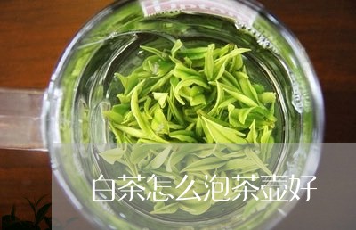 白茶怎么泡茶壶好/2023080130583