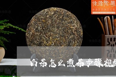 白茶怎么煮茶步骤视频/2023100599492