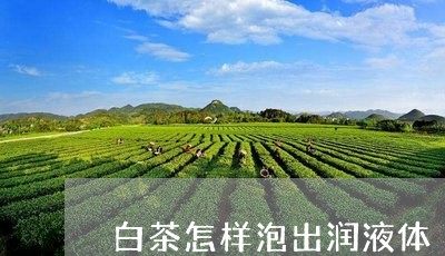 白茶怎样泡出润液体/2023100558592