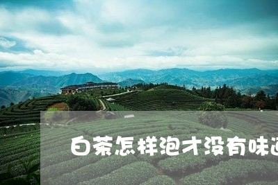 白茶怎样泡才没有味道/2023100598369