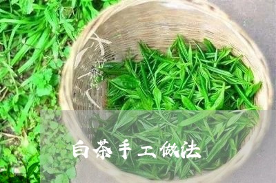 白茶手工做法/2023051923927