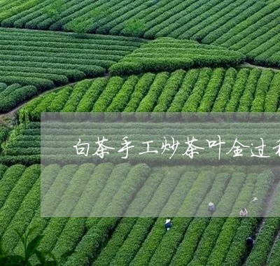 白茶手工炒茶叶全过程/2023100597369