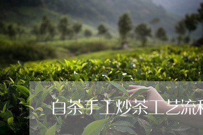 白茶手工炒茶工艺流程/2023100579503