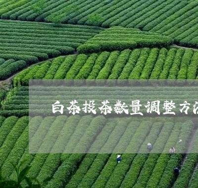 白茶投茶数量调整方法/2023100536948