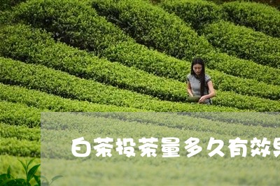 白茶投茶量多久有效果/2023100524070