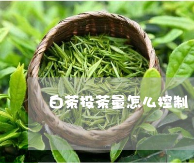 白茶投茶量怎么控制/2023072338159