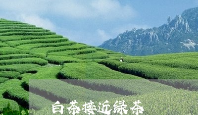 白茶接近绿茶/2023051937370