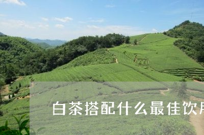 白茶搭配什么最佳饮用茶叶/2023111692605