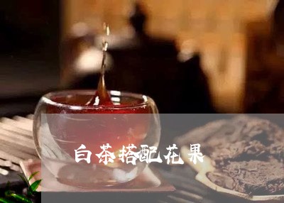 白茶搭配花果/2023051996060