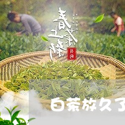 白茶放久了会变绿吗吗/2023100639360