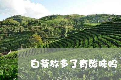 白茶放多了有酸味吗/2023072347581