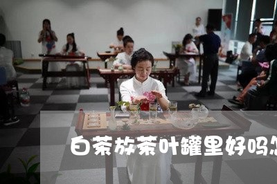 白茶放茶叶罐里好吗怎么放/2023110638381