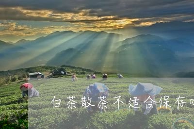 白茶散茶不适合保存吗/2023110604138