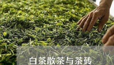 白茶散茶与茶砖/2023060428482