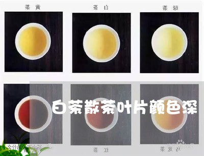 白茶散茶叶片颜色深/2023072369393