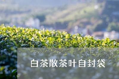 白茶散茶叶自封袋/2023080205857