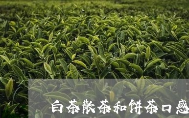 白茶散茶和饼茶口感/2023072363835