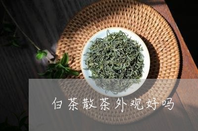 白茶散茶外观好吗/2023080232826