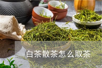 白茶散茶怎么取茶/2023080227149