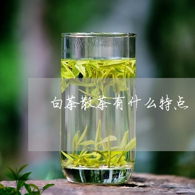 白茶散茶有什么特点/2023072336582