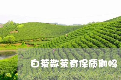 白茶散茶有保质期吗/2023072332614