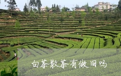 白茶散茶有做旧吗/2023080272713