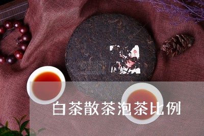 白茶散茶泡茶比例/2023080294160