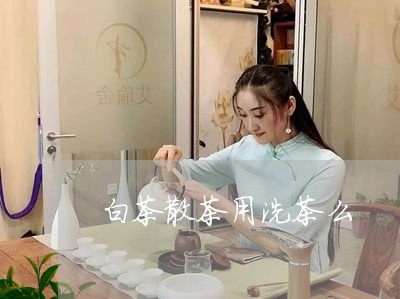 白茶散茶用洗茶么/2023080202936