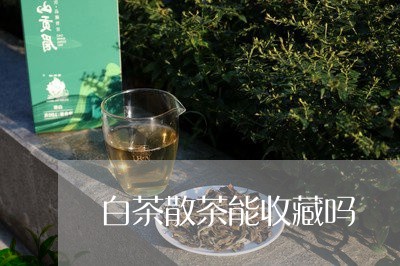 白茶散茶能收藏吗/2023080207147