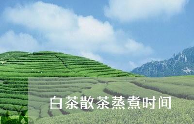 白茶散茶蒸煮时间/2023080366957