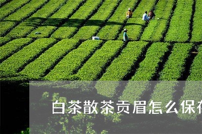 白茶散茶贡眉怎么保存/2023092142502