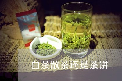 白茶散茶还是茶饼/2023080313815