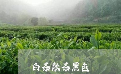 白茶散茶黑色/2023052060603