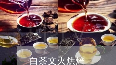 白茶文火烘焙/2023052070625