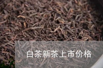 白茶新茶上市价格/2023080336350