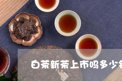 白茶新茶上市吗多少钱/2023100674826