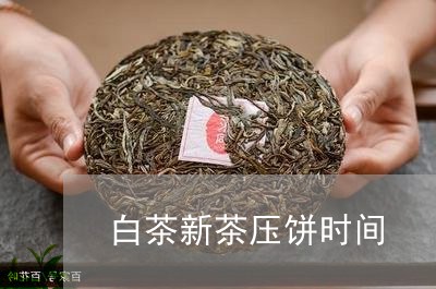 白茶新茶压饼时间/2023080367248