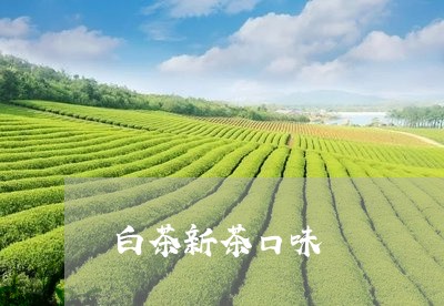 白茶新茶口味/2023052063615