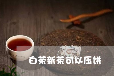 白茶新茶可以压饼/2023080394158