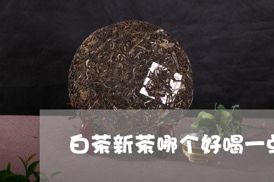 白茶新茶哪个好喝一点/2023100678479