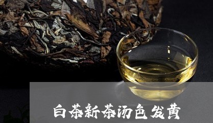 白茶新茶汤色发黄/2023080364181