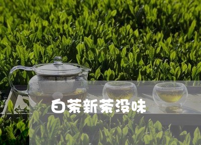 白茶新茶没味/2023052076251