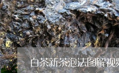 白茶新茶泡法图解视频教程/2023110736685