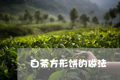 白茶方形饼的做法/2023080381625